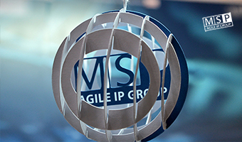 MSP team congratulates everyone on the upcoming holidays!